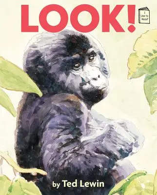 Guarda! - Look!