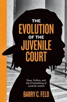L'evoluzione del tribunale per i minorenni: Razza, politica e criminalizzazione della giustizia minorile - The Evolution of the Juvenile Court: Race, Politics, and the Criminalizing of Juvenile Justice