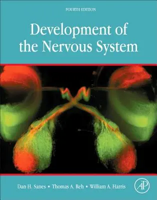 Lo sviluppo del sistema nervoso - Development of the Nervous System
