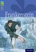Oxford Reading TreeTops Classics: Livello 17: Frankenstein - Oxford Reading Tree TreeTops Classics: Level 17: Frankenstein