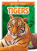 Tigri - Tigers