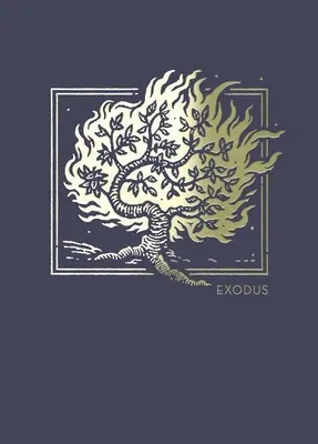 Diario biblico Net Abide - Esodo, brossura, stampa comfort: Sacra Bibbia - Net Abide Bible Journal - Exodus, Paperback, Comfort Print: Holy Bible
