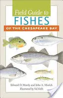 Guida ai pesci della baia di Chesapeake - Field Guide to Fishes of the Chesapeake Bay