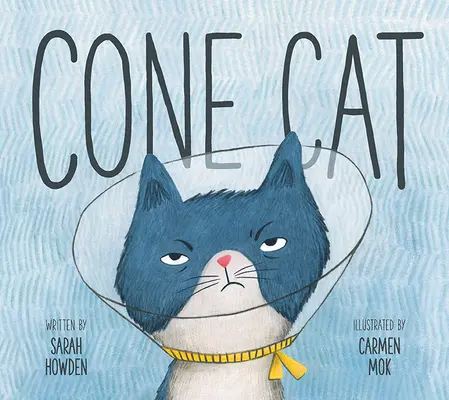 Gatto a cono - Cone Cat