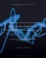Mixaggio del suono di produzione: L'arte e l'artigianato della registrazione del suono per l'immagine in movimento - Production Sound Mixing: The Art and Craft of Sound Recording for the Moving Image