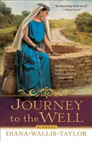 Viaggio al pozzo - Journey to the Well