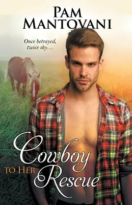 Cowboy in soccorso - Cowboy to Her Rescue