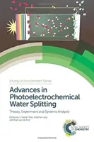 Progressi nella scissione fotoelettrochimica dell'acqua: Teoria, esperimento e analisi dei sistemi - Advances in Photoelectrochemical Water Splitting: Theory, Experiment and Systems Analysis