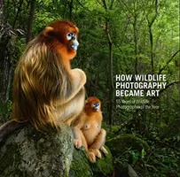 Come la fotografia naturalistica è diventata arte: 55 anni di Wildlife Photographer of the Year - How Wildlife Photography Became Art: 55 Years of Wildlife Photographer of the Year