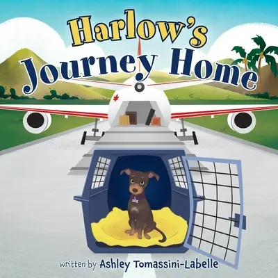 Il viaggio di Harlow verso casa - Harlow's Journey Home