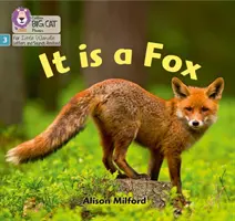 È una volpe - Fase 3 - It is a Fox - Phase 3