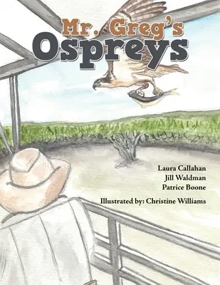 I falchi pescatori di Mr. Greg - Mr. Greg's Ospreys