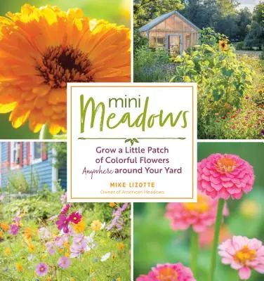 Mini prati: Coltivare una piccola macchia di fiori colorati ovunque nel vostro giardino - Mini Meadows: Grow a Little Patch of Colorful Flowers Anywhere Around Your Yard