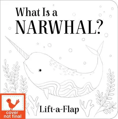 Cos'è un narvalo? - What Is a Narwhal?
