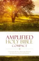Bibbia Amplificata-Am-Compact: Cattura il pieno significato dietro l'originale greco ed ebraico - Amplified Bible-Am-Compact: Captures the Full Meaning Behind the Original Greek and Hebrew