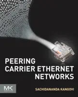Peering delle reti Carrier Ethernet - Peering Carrier Ethernet Networks