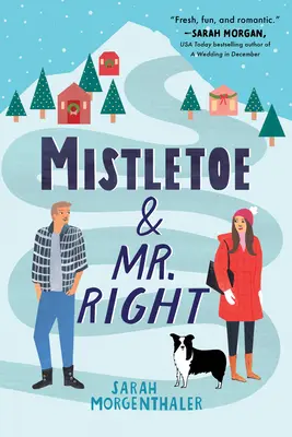 Il vischio e l'uomo giusto - Mistletoe and Mr. Right