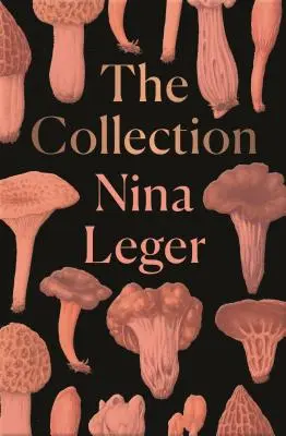 La collezione - The Collection