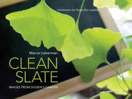 Tabula rasa: Immagini dal giardino di Dogen - Clean Slate: Images from Dogen's Garden