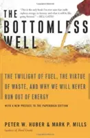 Il pozzo senza fondo: Il crepuscolo del combustibile, la virtù dello spreco e perché non finiremo mai l'energia - The Bottomless Well: The Twilight of Fuel, the Virtue of Waste, and Why We Will Never Run Out of Energy