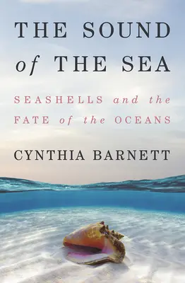Il suono del mare: Conchiglie e destino degli oceani - The Sound of the Sea: Seashells and the Fate of the Oceans