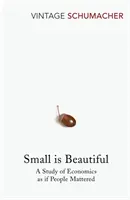 Piccolo è bello - Uno studio sull'economia come se le persone fossero importanti - Small Is Beautiful - A Study of Economics as if People Mattered