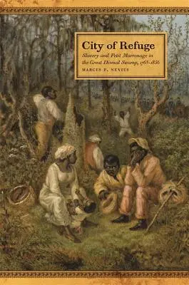 La città del rifugio: Schiavitù e petit marronage nella Great Dismal Swamp, 1763-1856 - City of Refuge: Slavery and Petit Marronage in the Great Dismal Swamp, 1763-1856