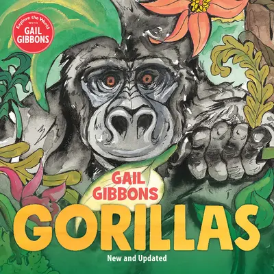 I gorilla - Gorillas