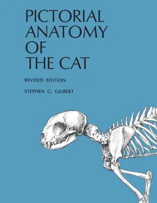 Anatomia pittorica del gatto - Pictorial Anatomy of the Cat