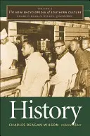 La Nuova Enciclopedia della Cultura del Sud: Volume 3: Storia - The New Encyclopedia of Southern Culture: Volume 3: History