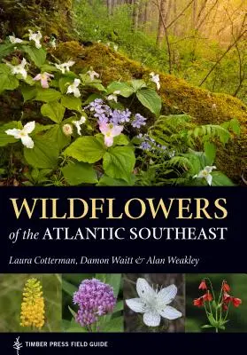 Fiori selvatici del sud-est atlantico - Wildflowers of the Atlantic Southeast