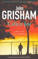Calico Joe - Un romanzo indimenticabile sull'infanzia, la famiglia, il conflitto, il senso di colpa e il perdono. - Calico Joe - An unforgettable novel about childhood, family, conflict and guilt, and forgiveness