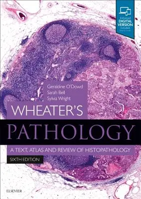 Patologia di Wheater: Un testo, un atlante e una revisione di istopatologia - Wheater's Pathology: A Text, Atlas and Review of Histopathology