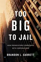 Troppo grandi per essere incarcerati: Come i procuratori scendono a compromessi con le multinazionali - Too Big to Jail: How Prosecutors Compromise with Corporations