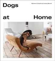 Cani di casa - Dogs at Home
