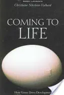 Venire alla vita: come i geni guidano lo sviluppo - Coming to Life: How Genes Drive Development