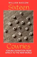 Sedici vacche: La divinazione yoruba dall'Africa al Nuovo Mondo - Sixteen Cowries: Yoruba Divination from Africa to the New World