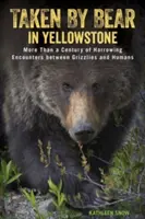 Preso dall'orso a Yellowstone: Più di un secolo di strazianti incontri tra Grizzly e umani - Taken by Bear in Yellowstone: More Than a Century of Harrowing Encounters between Grizzlies and Humans