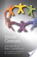 Governare i beni comuni - Governing the Commons