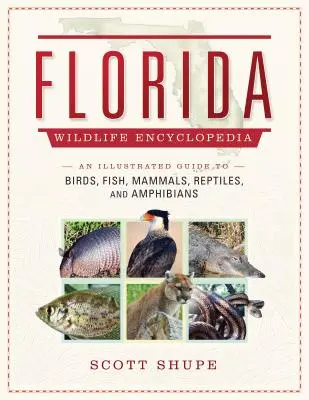 Enciclopedia della fauna selvatica della Florida: Guida illustrata agli uccelli, ai pesci, ai mammiferi, ai rettili e agli anfibi - Florida Wildlife Encyclopedia: An Illustrated Guide to Birds, Fish, Mammals, Reptiles, and Amphibians