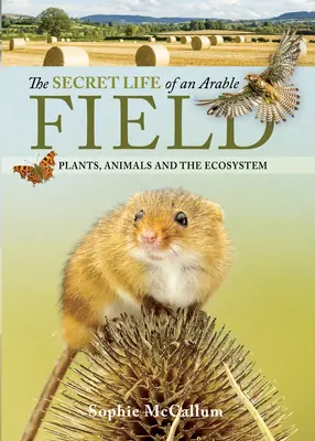 La vita segreta di un campo coltivato: Piante, animali ed ecosistema - The Secret Life of an Arable Field: Plants, Animals and the Ecosystem