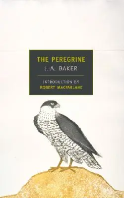 Il pellegrino - The Peregrine