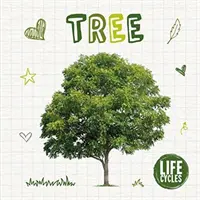 Ciclo di vita di un albero - Life Cycle of a Tree