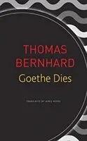 Goethe muore - Goethe Dies
