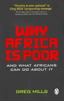 Perché l'Africa è povera - Why Africa is poor