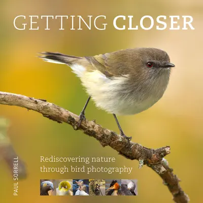 Avvicinarsi: Riscoprire la natura attraverso la fotografia degli uccelli - Getting Closer: Rediscovering Nature Through Bird Photography
