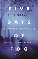 Cinque giorni di nebbia - Peaky Blinders con un tocco di femminismo - Five Days of Fog - Peaky Blinders with a feminist twist