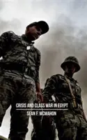 Crisi e guerra di classe in Egitto: Riproduzione sociale, riallineamenti fusionali ed economia politica globale - Crisis and Class War in Egypt: Social Reproduction, Factional Realignments and the Global Political Economy
