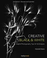 Bianco e nero creativo: Suggerimenti e tecniche di fotografia digitale - Creative Black and White: Digital Photography Tips and Techniques