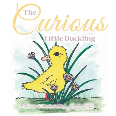 Il piccolo anatroccolo curioso - The Curious Little Duckling